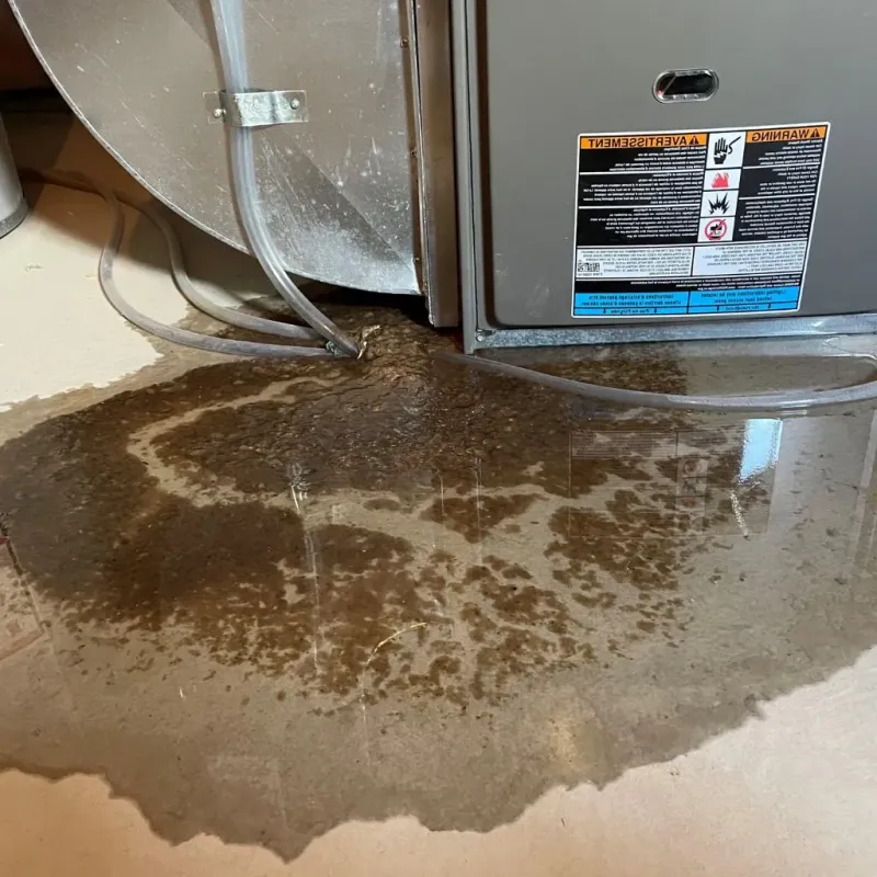 Pipe Burst and Leak Restoration in New Tazewell, TN