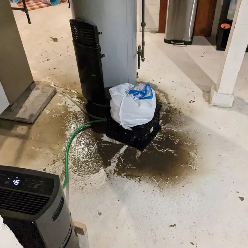 Sewage Backup Cleanup Service in New Tazewell, TN